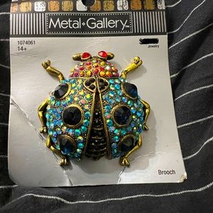 Metal Gallery Multi color lady bug brooch